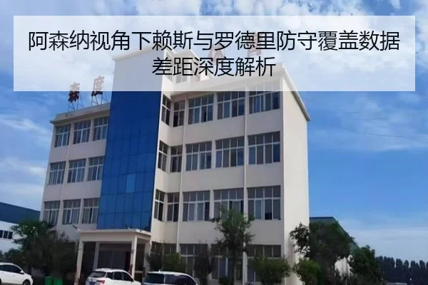 阿森纳视角下赖斯与罗德里防守覆盖数据差距深度解析